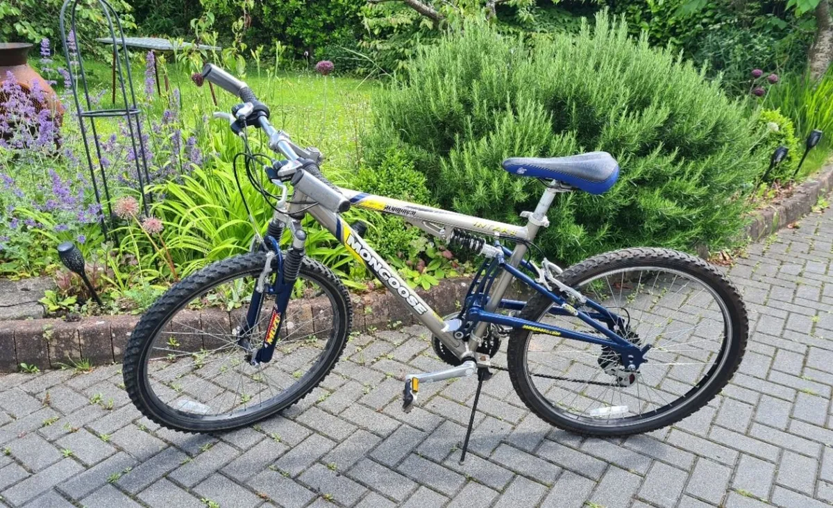 Mountain bike - Image 1