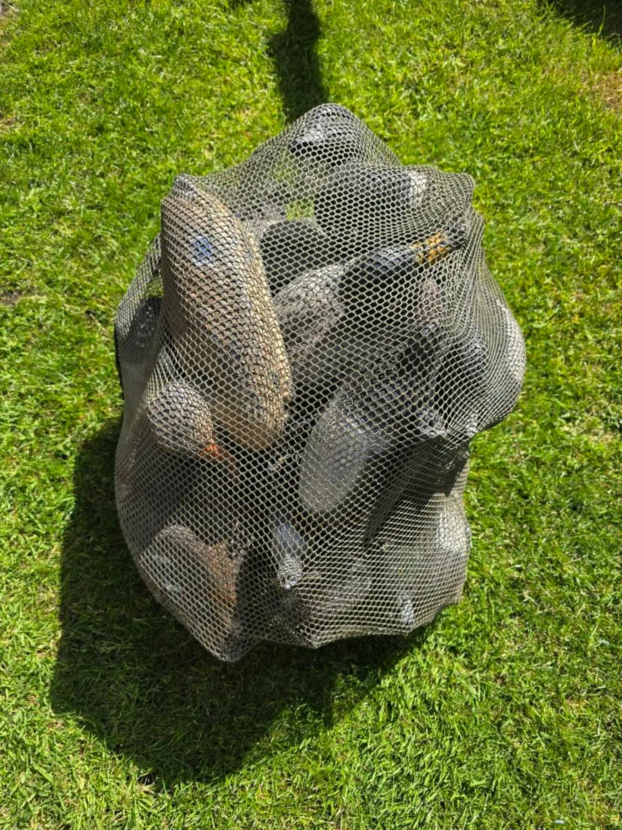 Clay Pigeon Trap and decoys - Image 3