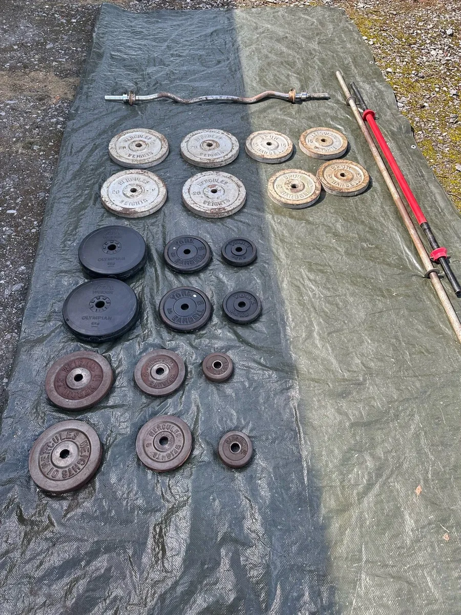 Bodybuilding Kit - Image 1