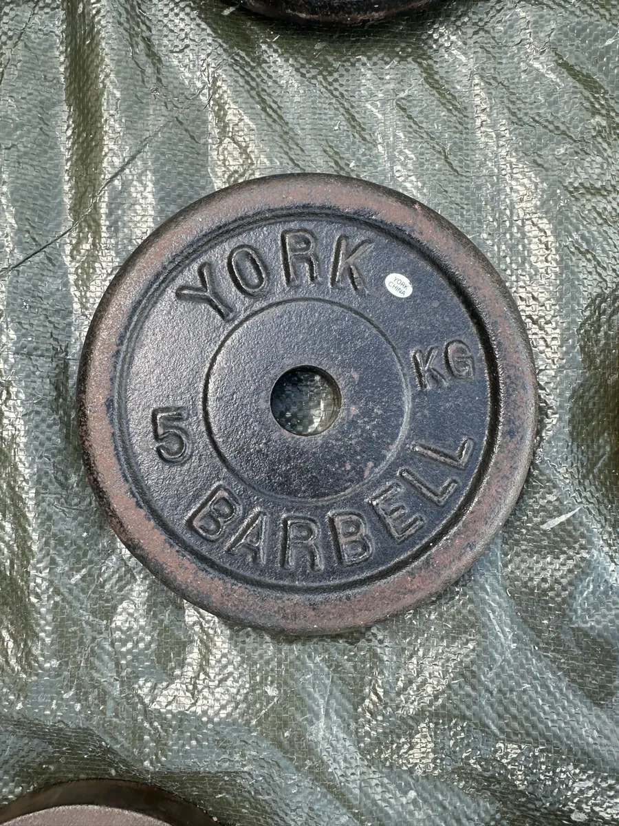 Bodybuilding Kit - Image 4
