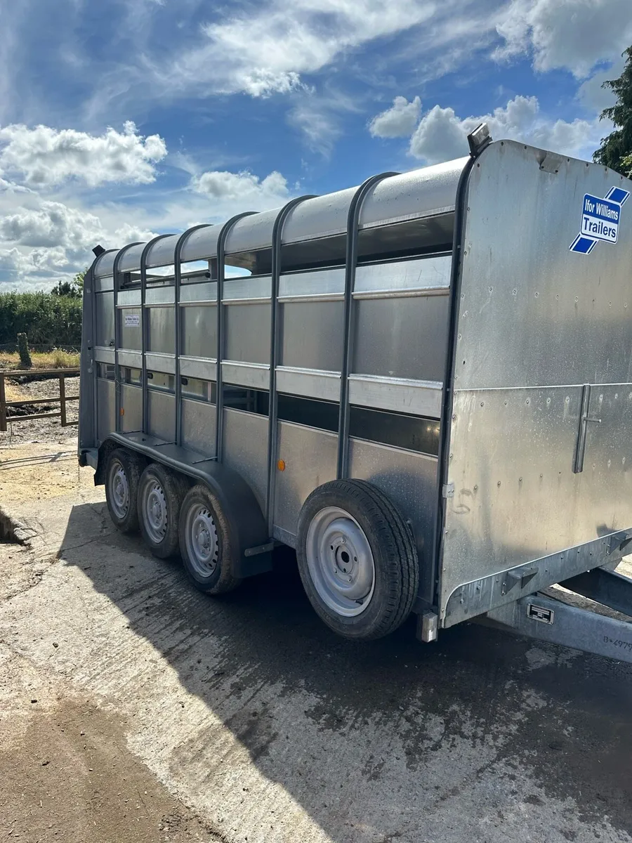 Iforwilliams cattle box - Image 1