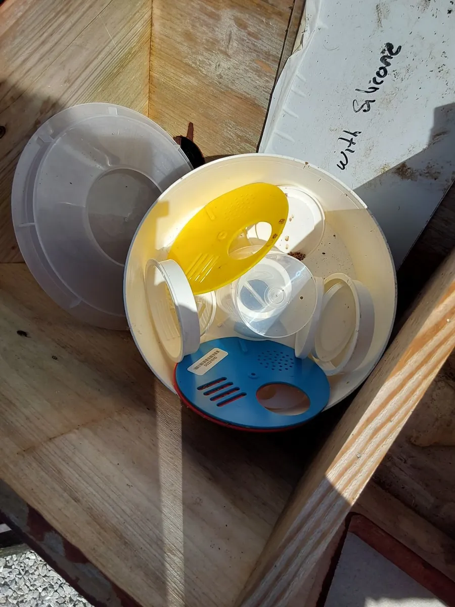 Bee Hive (longhive)  and Honey extractor - Image 3