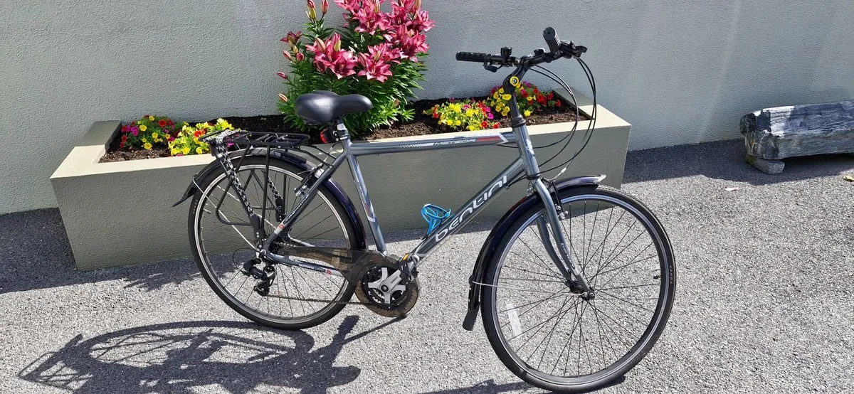 Bentini Bicycle - Image 2