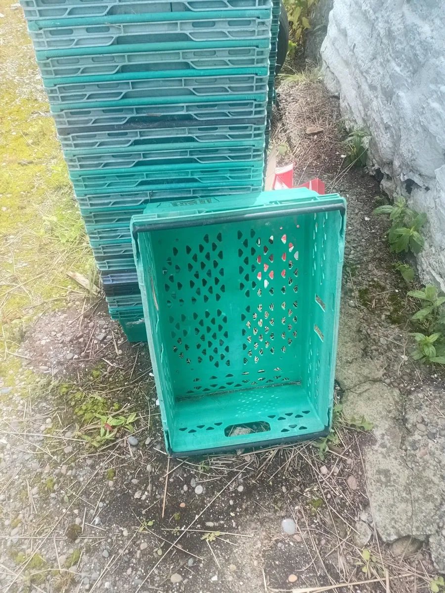 Vegetable / storage crates - Image 1
