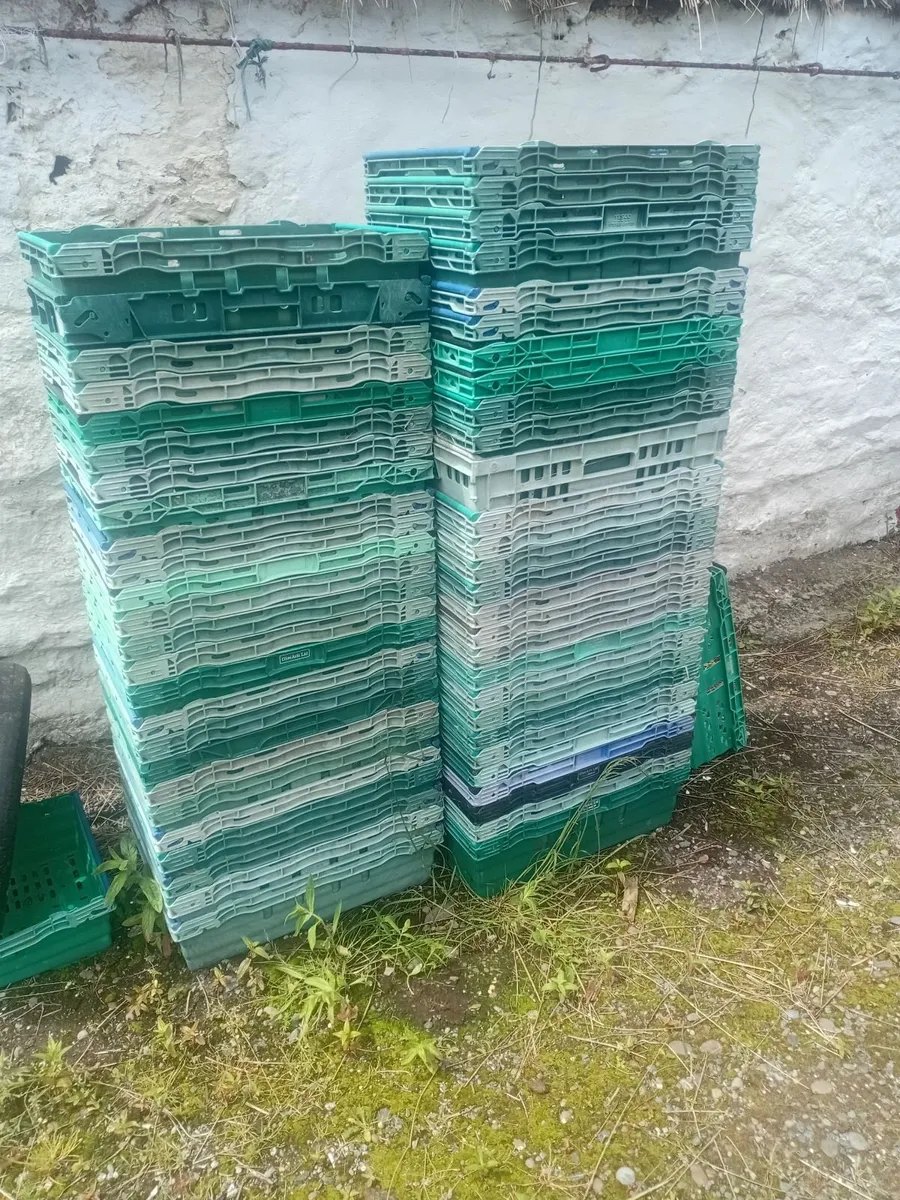 Vegetable / storage crates - Image 2