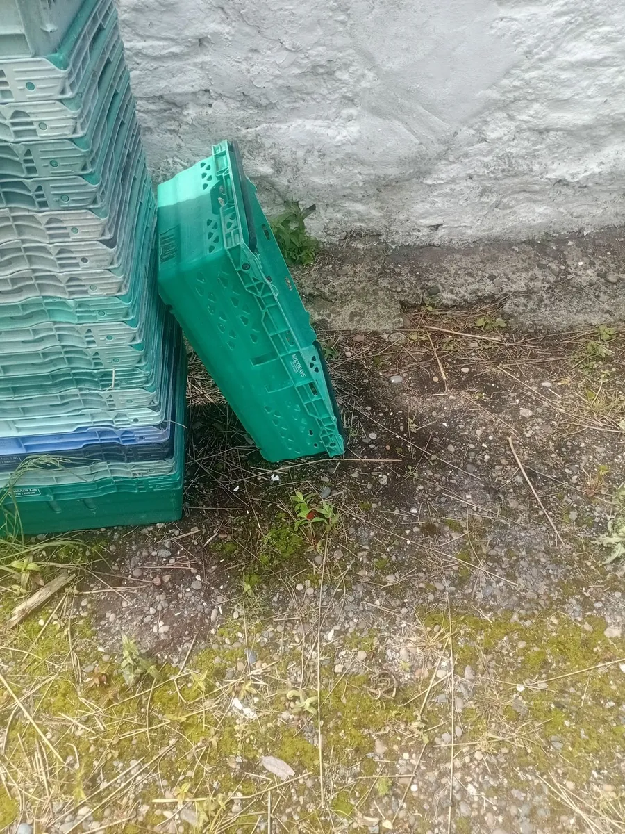 Vegetable / storage crates - Image 3