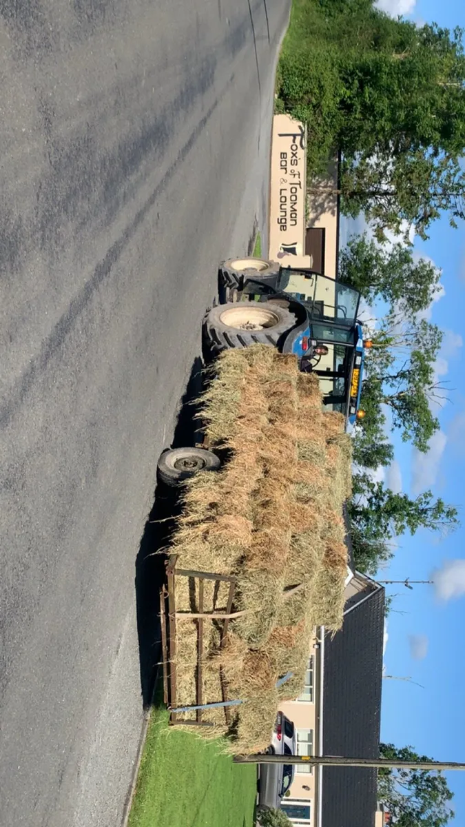 Quality clean hay - Image 2