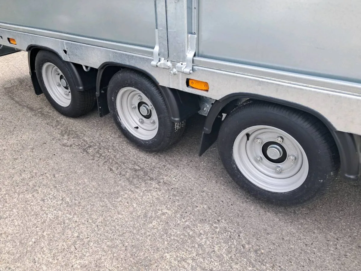 Tuffmac 14x6'6 tri axle - Image 4