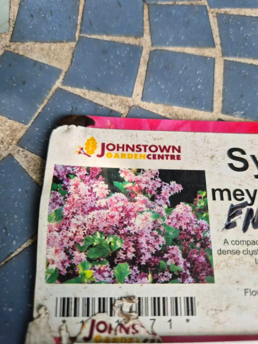 Garden plants (FREE) - Image 1