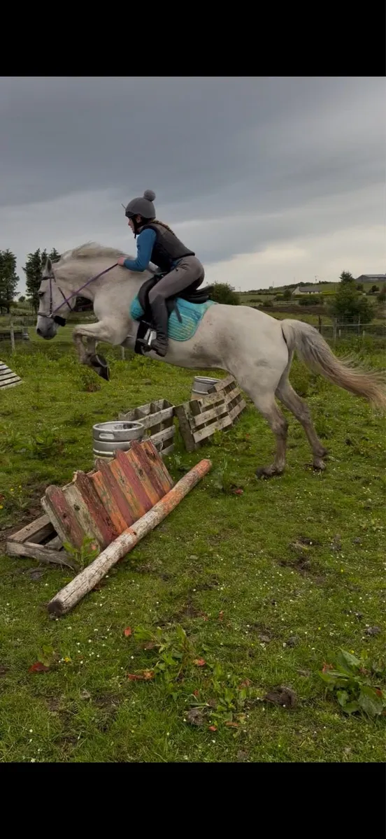 Alrounder - Image 3