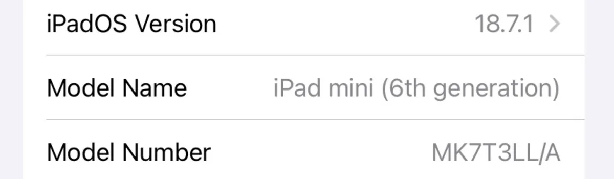 iPad Mini 6th Generation with Apple Pencil - Image 3