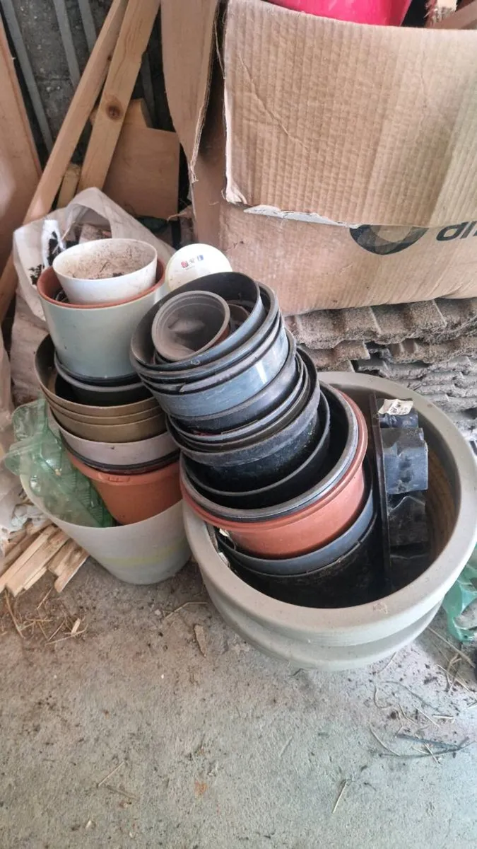 Pots free for collection