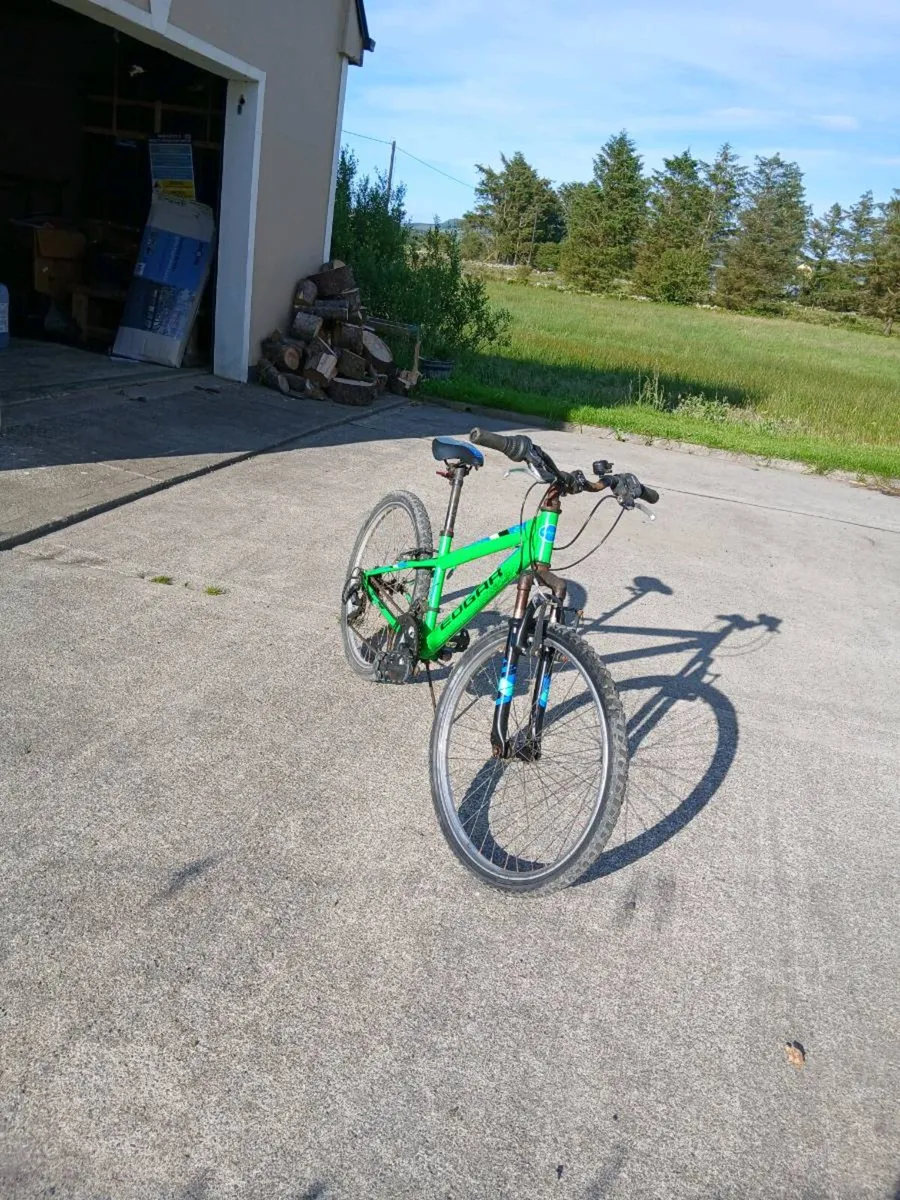 EDGAR 24 inch bike - Image 1