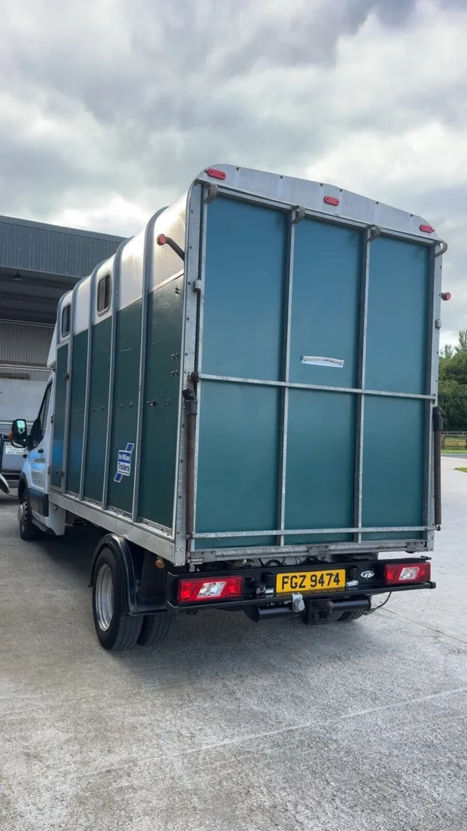 Ford transit horse van - Image 3