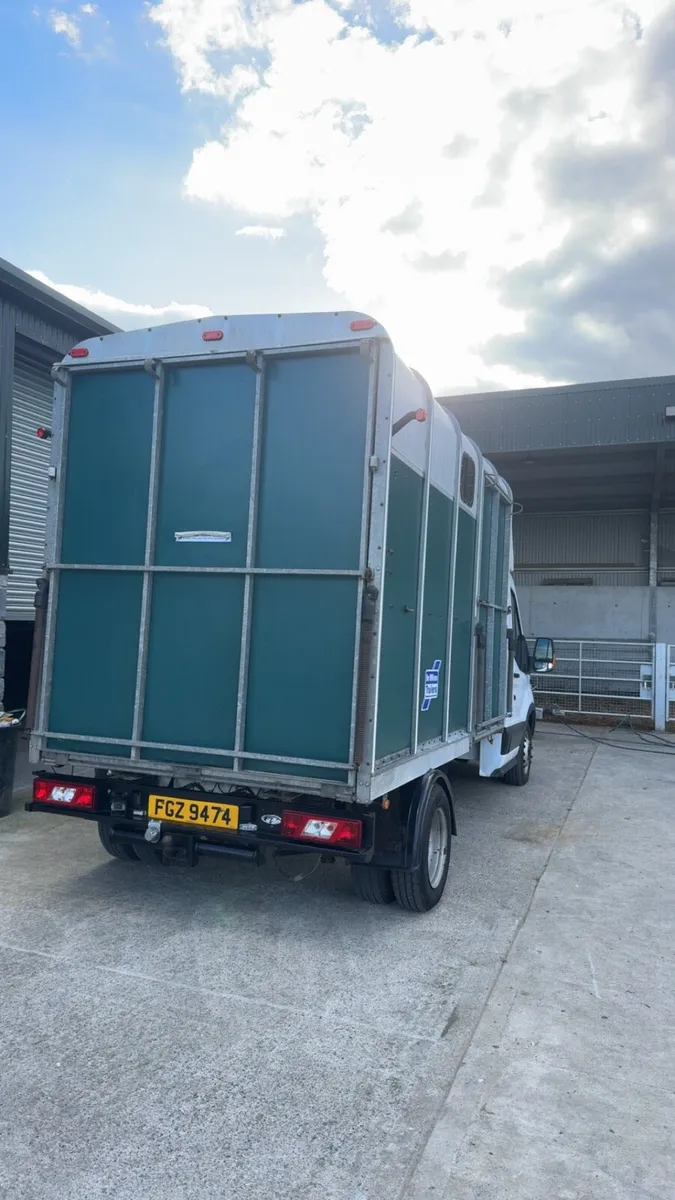 Ford transit horse van - Image 4