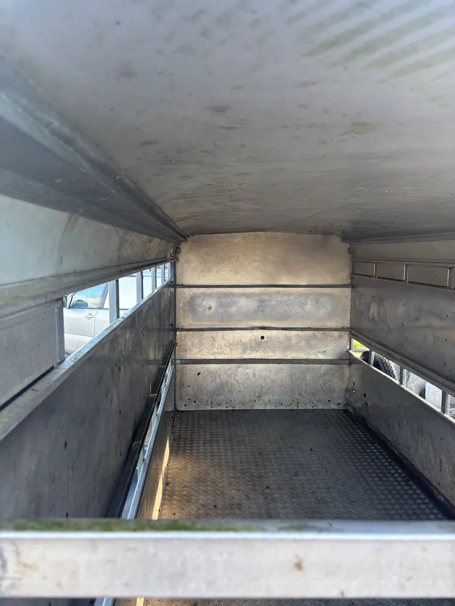 14ft I for Williams - Image 2