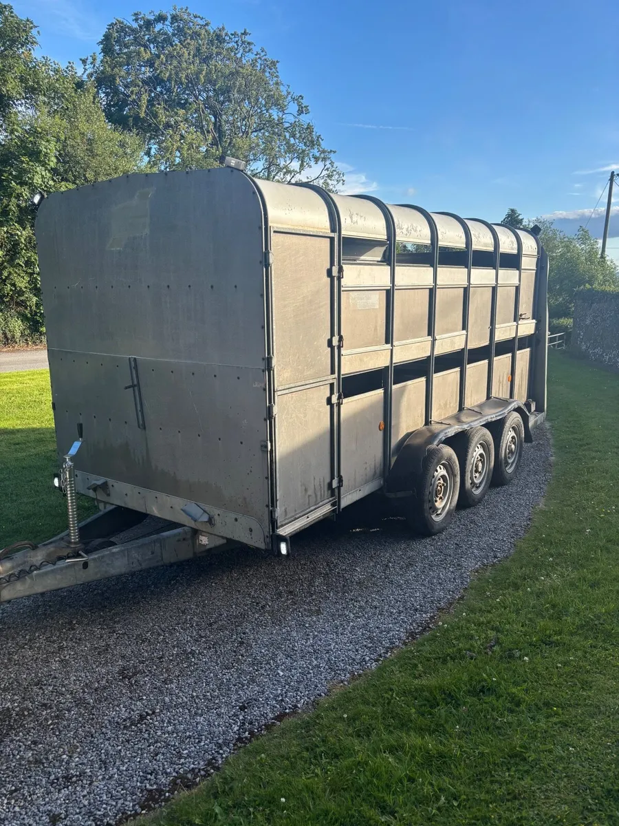 14ft I for Williams - Image 1