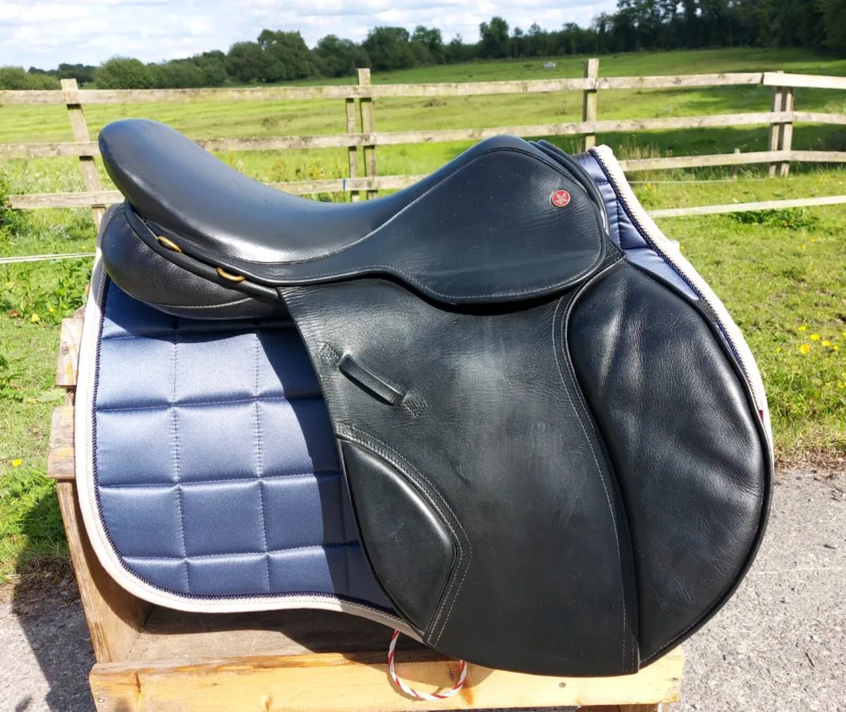 FALCON VSS ALDER SADDLE - Image 4