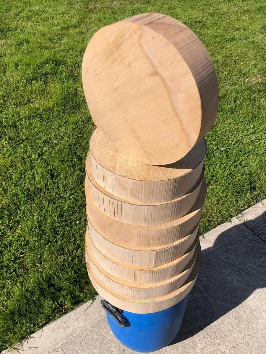 Sycamore blanks for Woodturning - Image 1