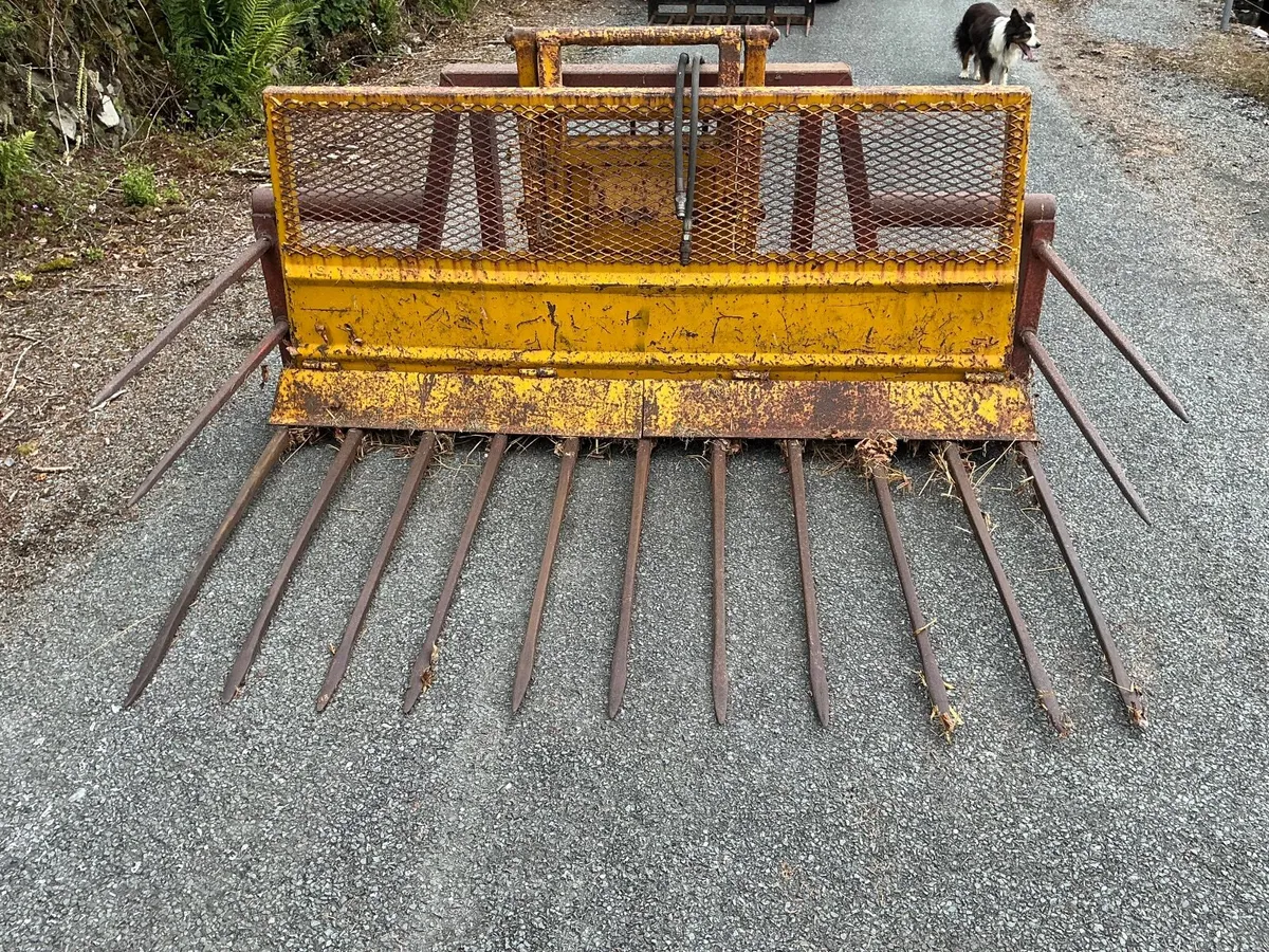 Buckrake - Image 2