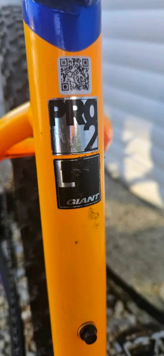Electric mountain bike - Image 4