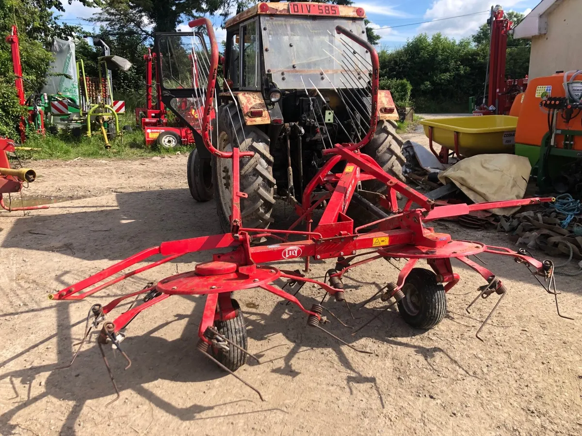 Lely 300  with gates - Image 3