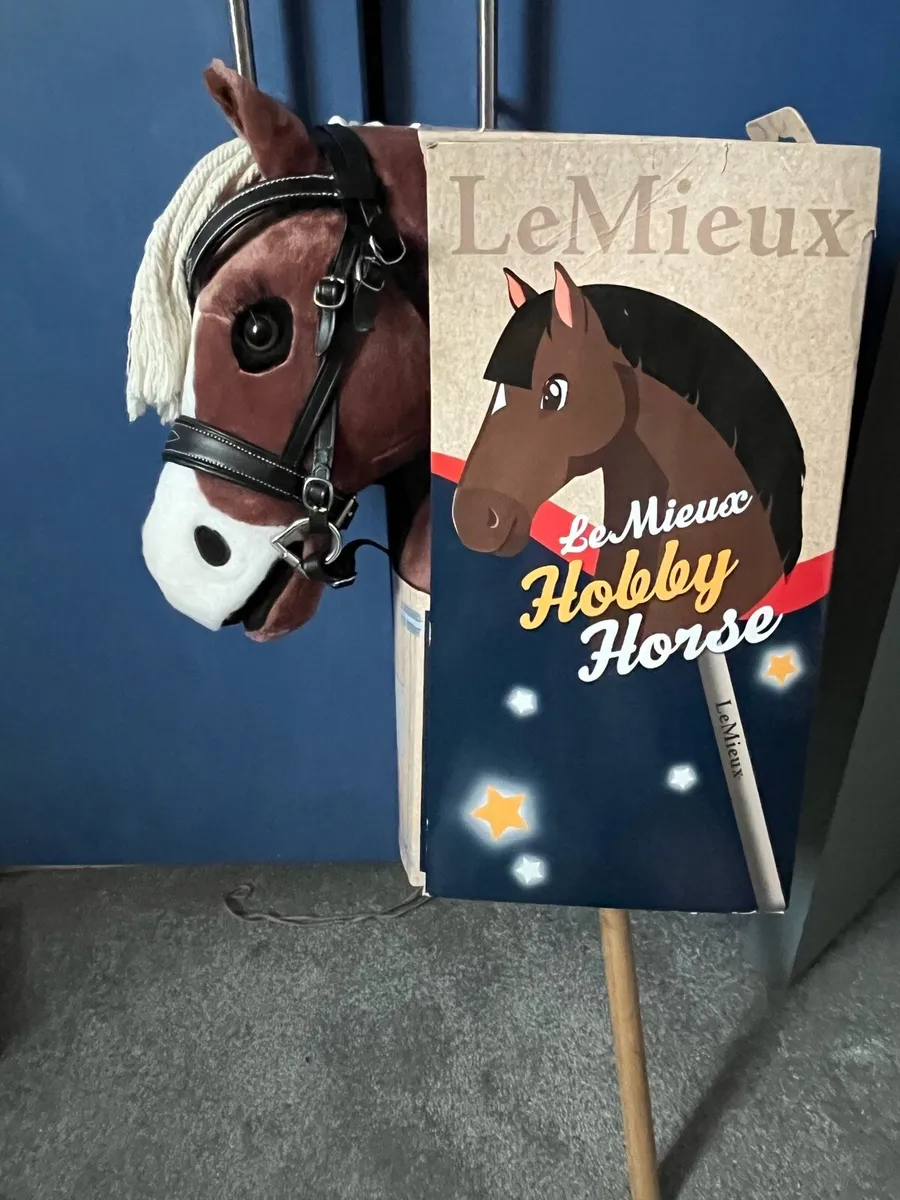 Hobby Horse - Image 3