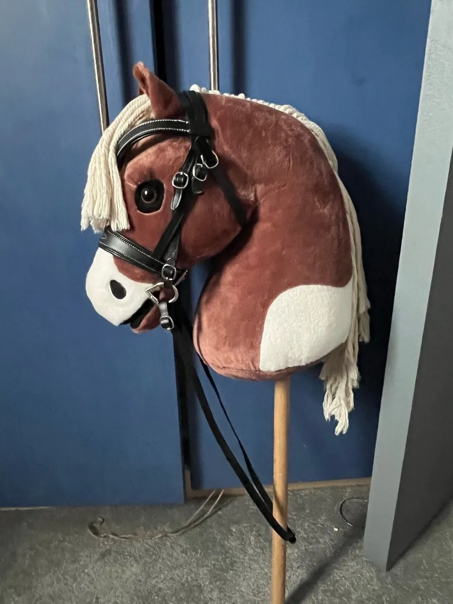 Hobby Horse - Image 4