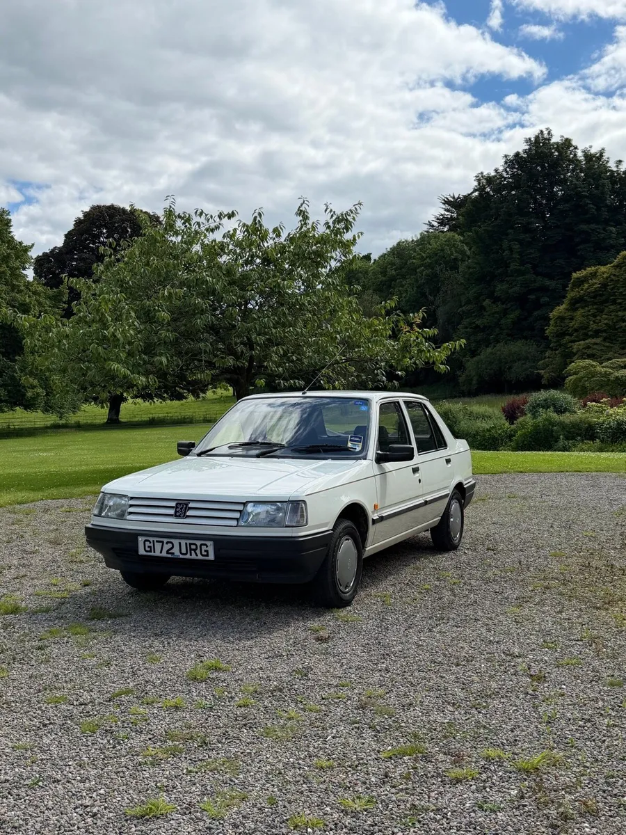 1990 Peugeot 309 Style - Image 1