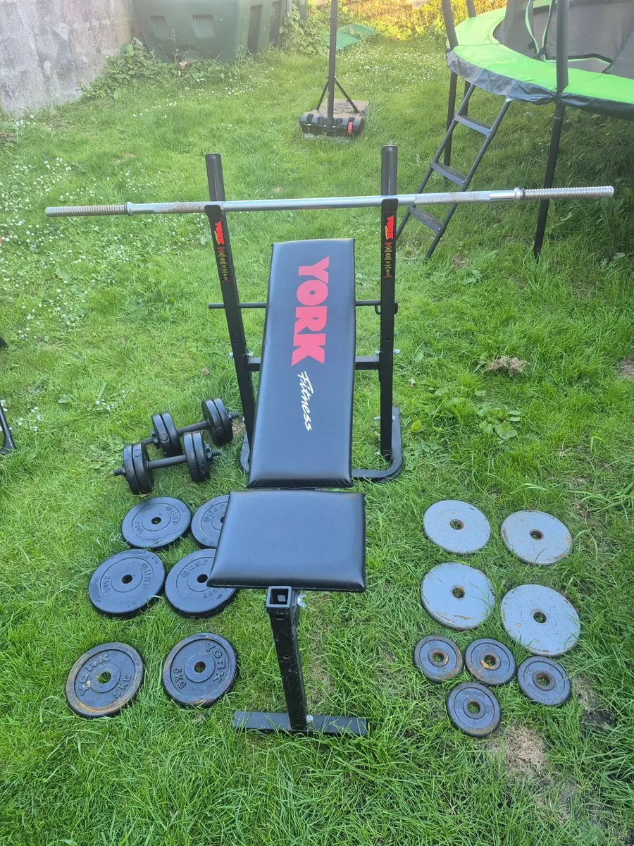 Bench & weights plates