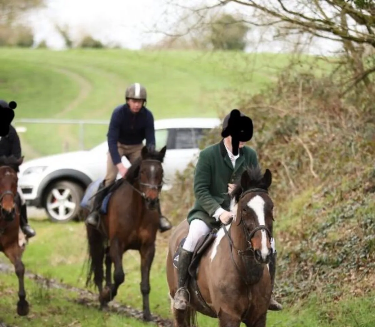 Hunter/ x country horse - Image 4