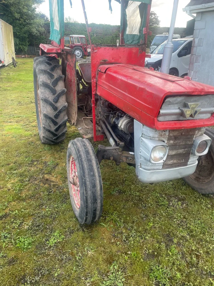 Massey Ferguson 135 - Image 1