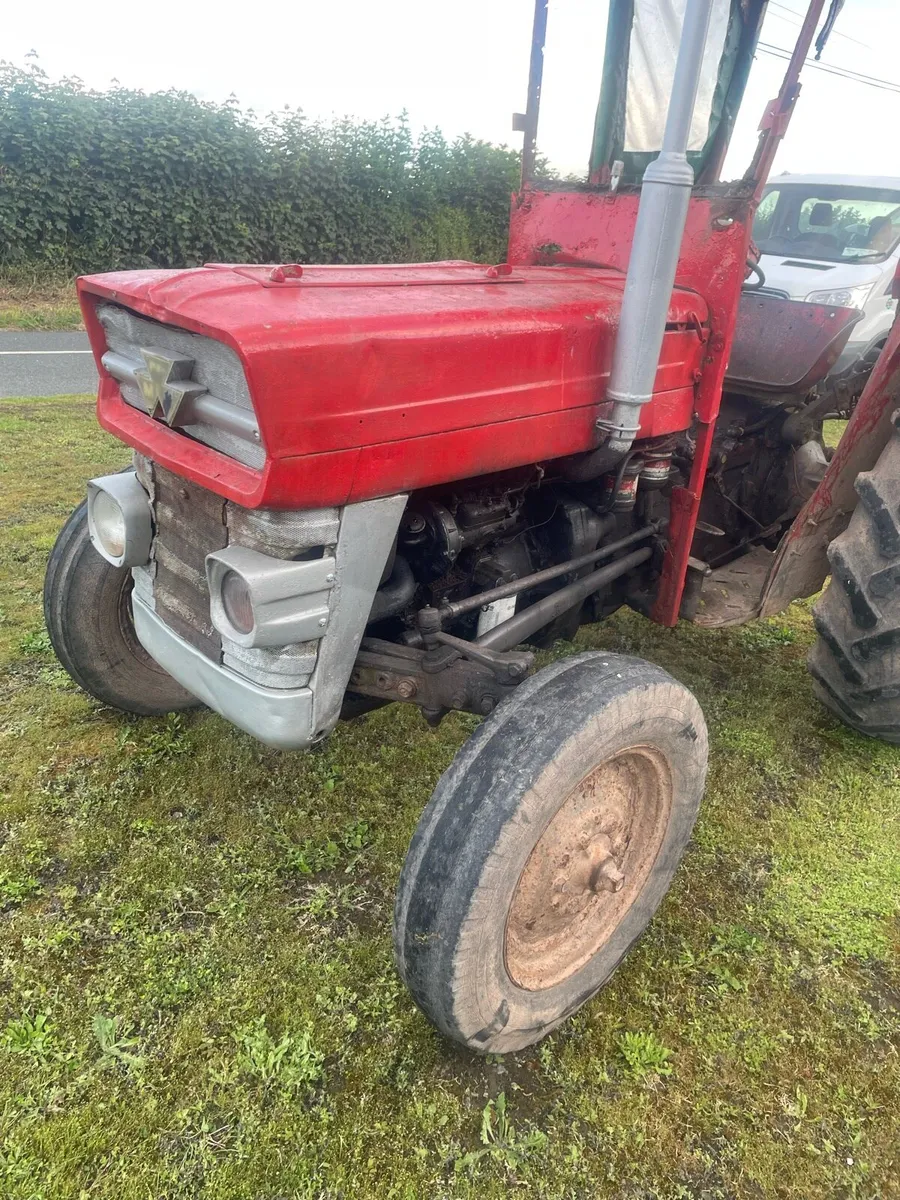Massey Ferguson 135 - Image 2