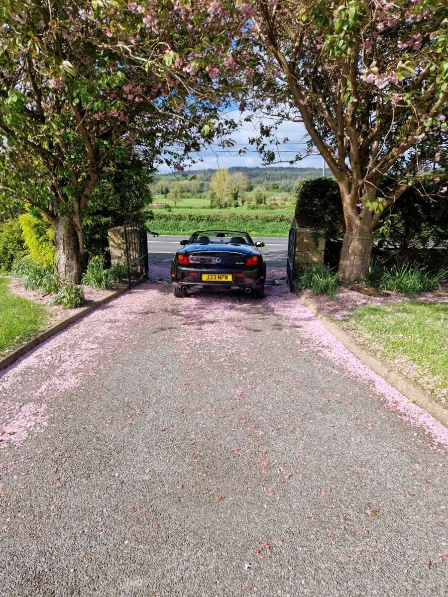 Car - Image 2