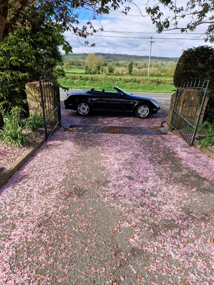 Car - Image 1