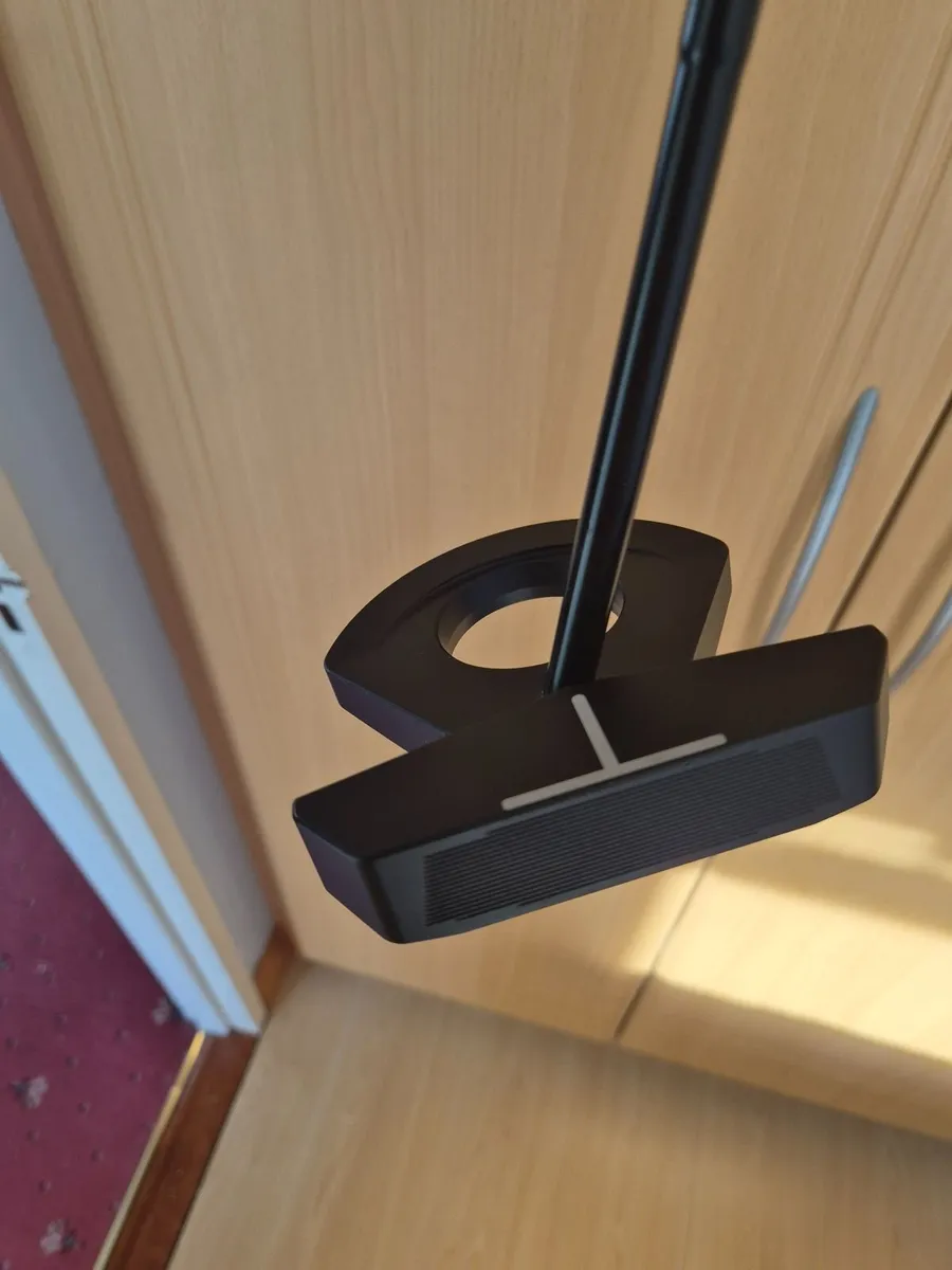 Premium Putter - Image 1