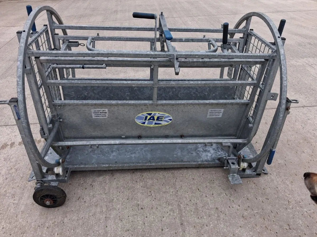 IAE Sheep turnover/ rollover crate - Image 1