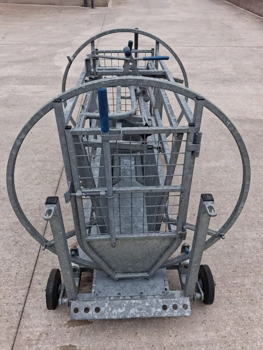IAE Sheep turnover/ rollover crate - Image 2