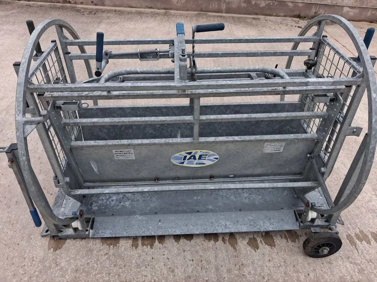 IAE Sheep turnover/ rollover crate - Image 3