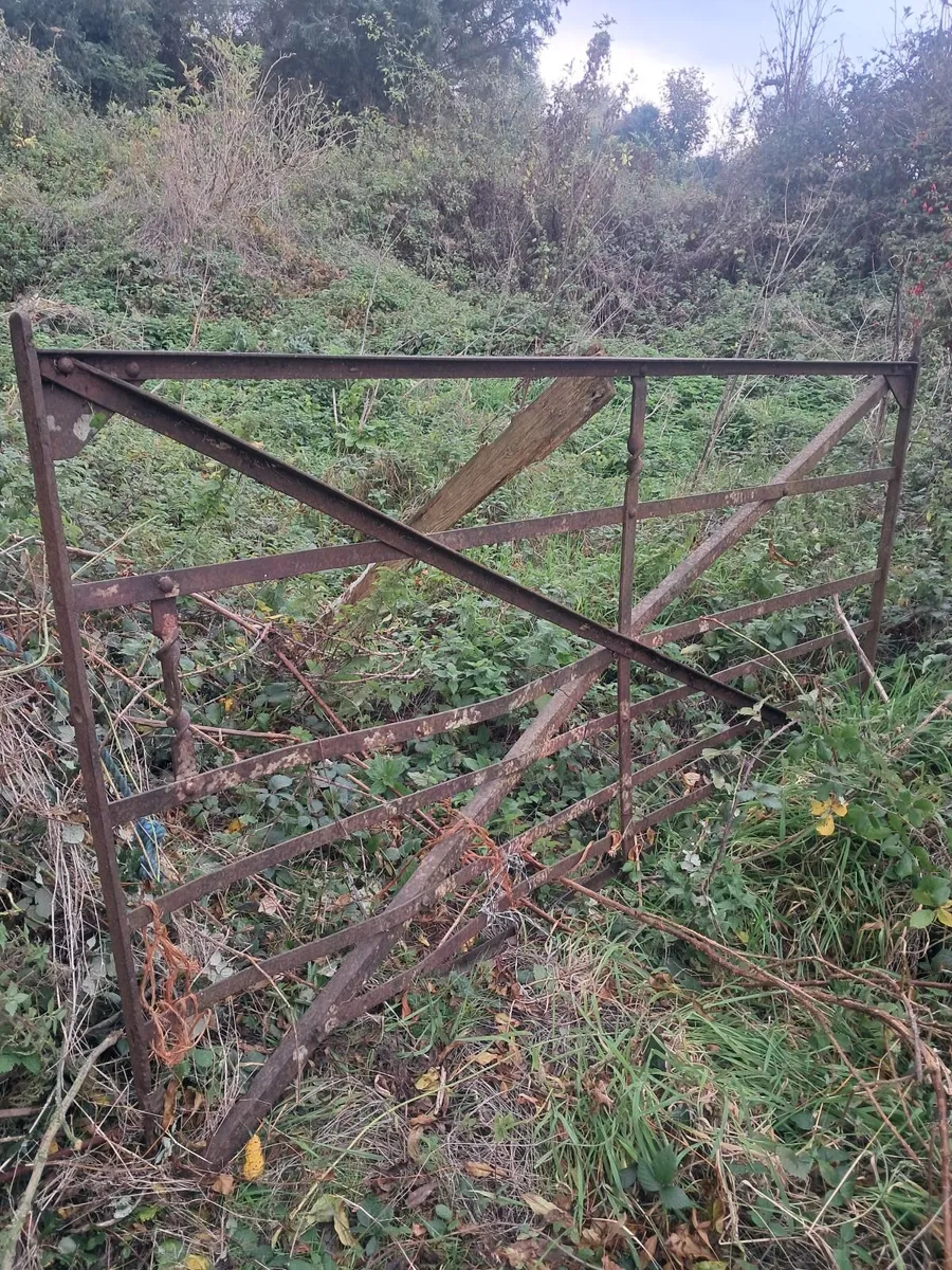 Old fields  gates for sale - Image 2