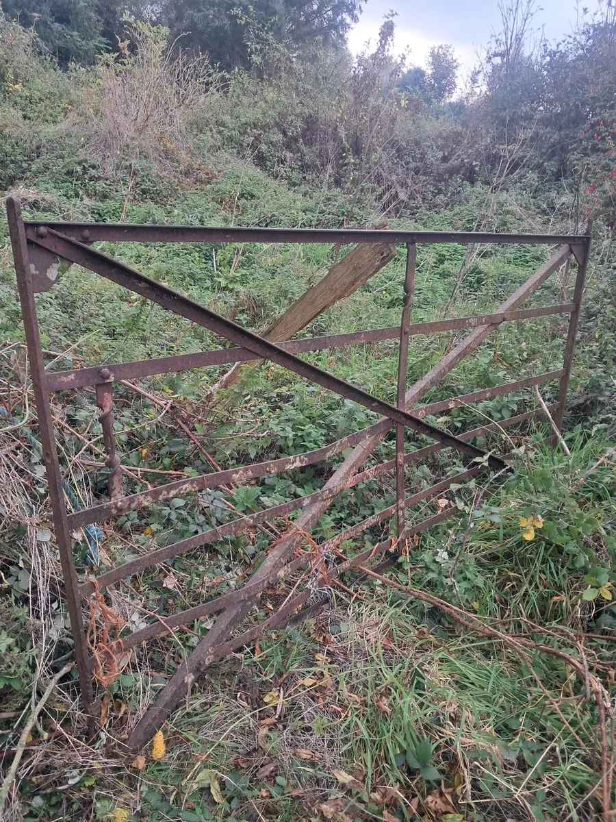 Old fields  gates for sale - Image 1
