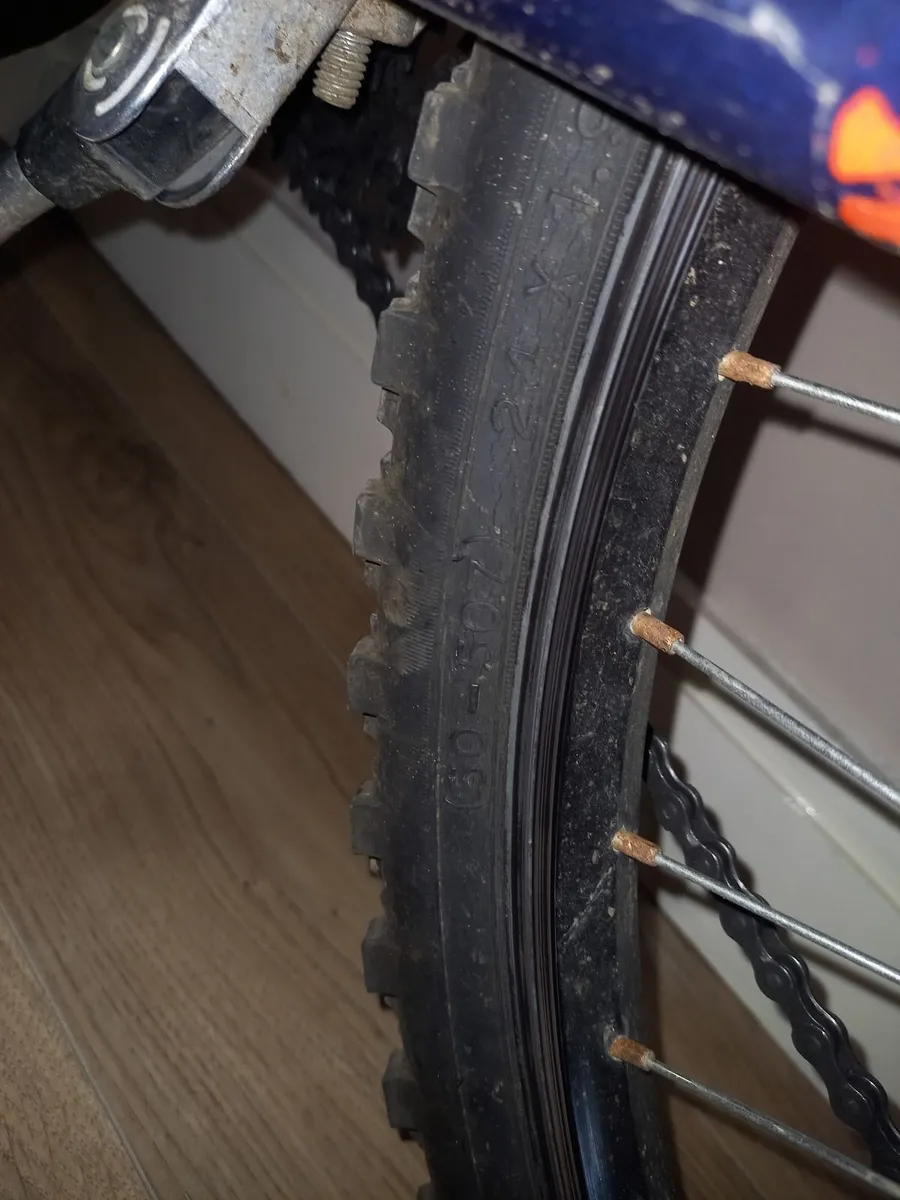 Junior Bicycle - Image 4
