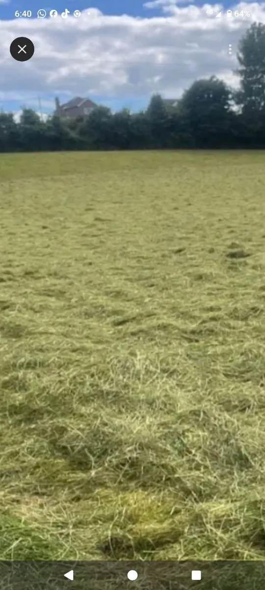 Haylage - Image 1