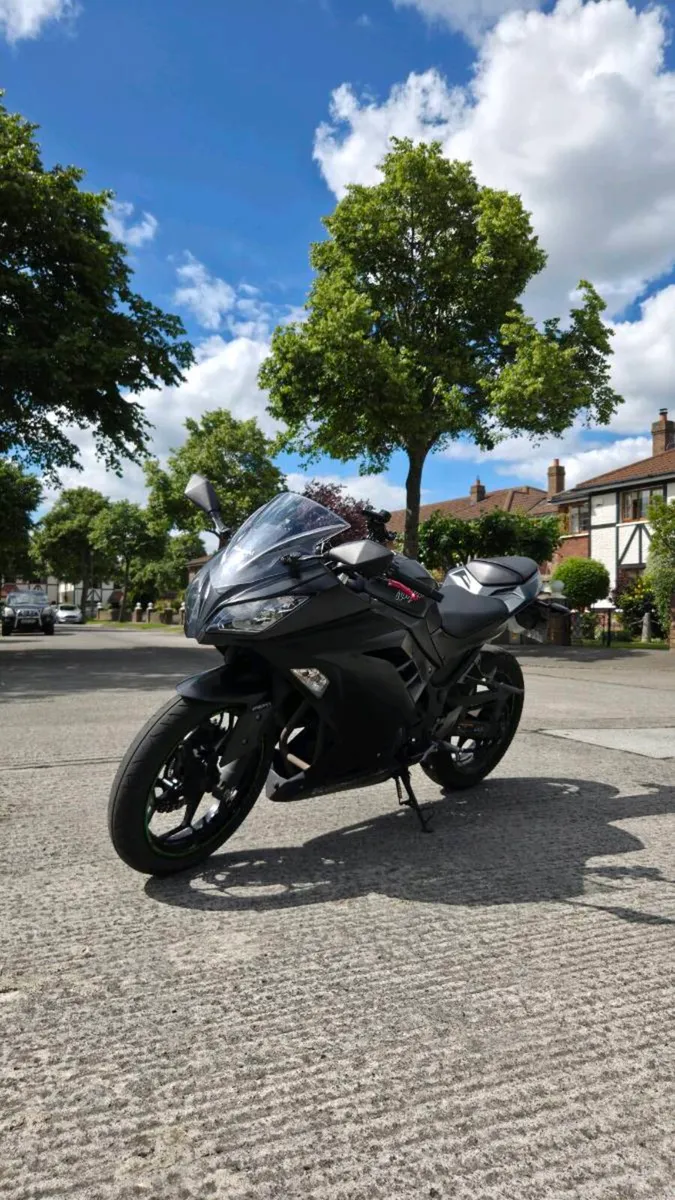 Kawasaki Ninja 300 ABS(2018)+ two exhausts - Image 2