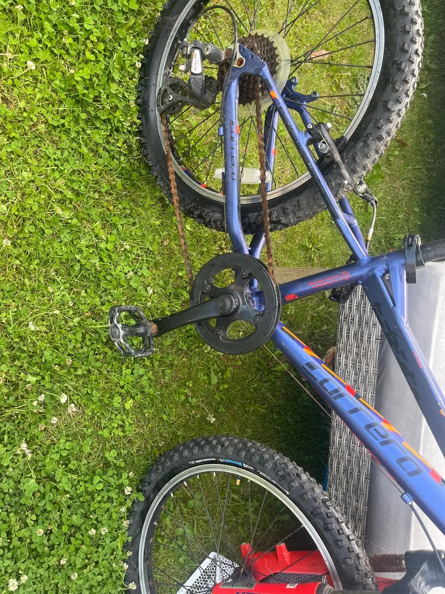 Bike - Image 4