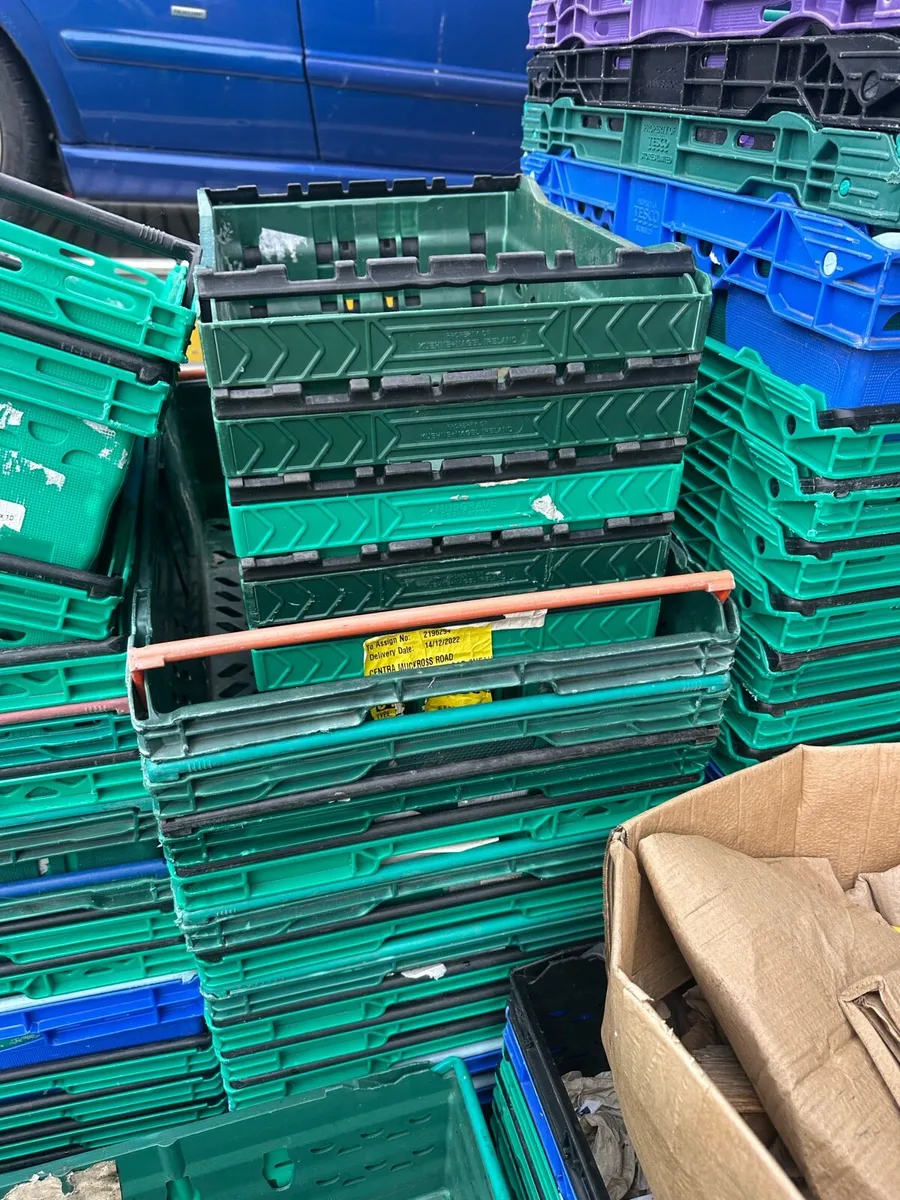 Plastic Crates - Image 2