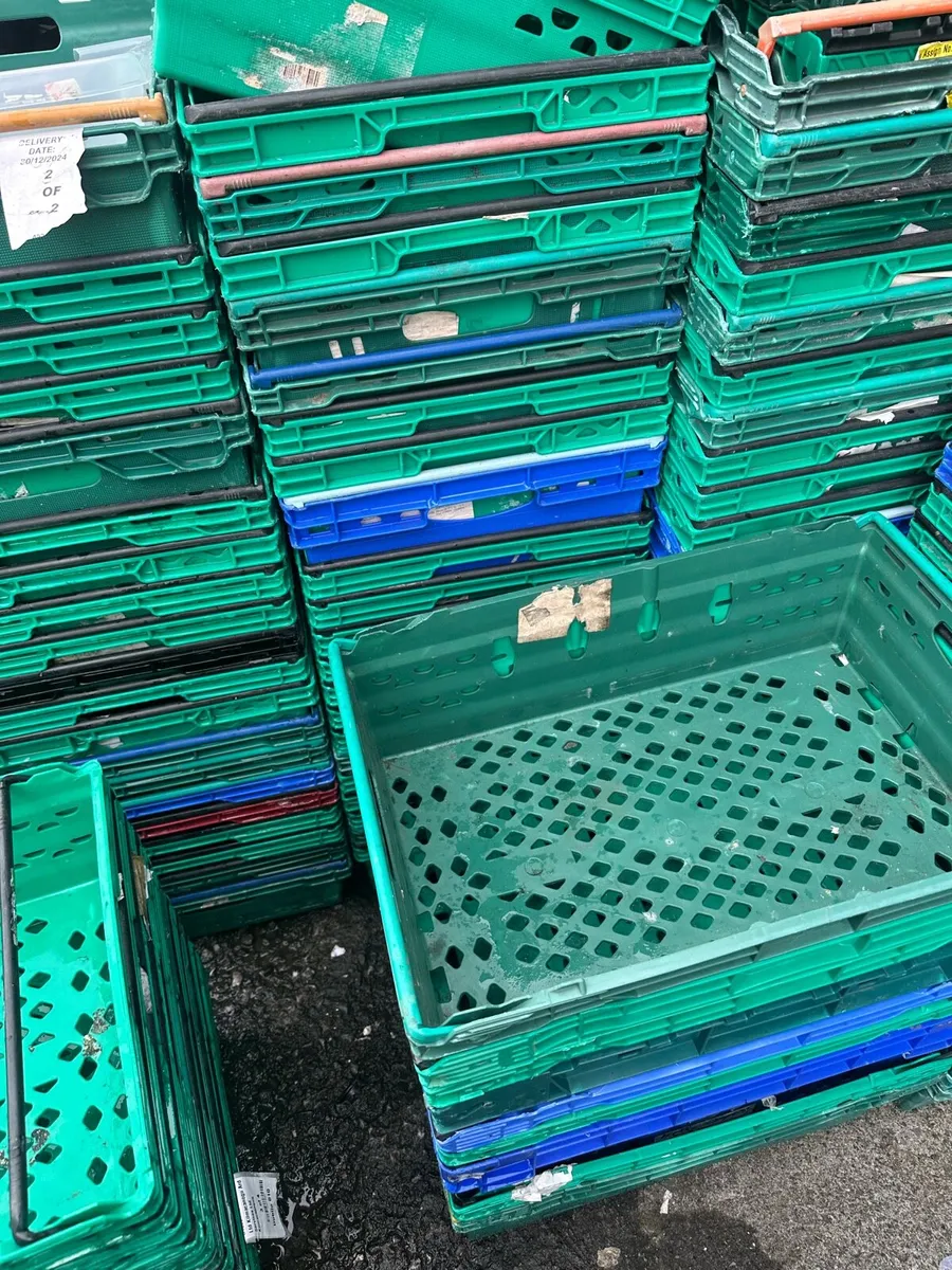 Plastic Crates - Image 3