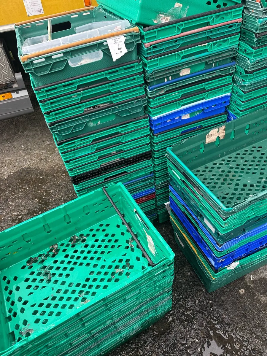 Plastic Crates - Image 4