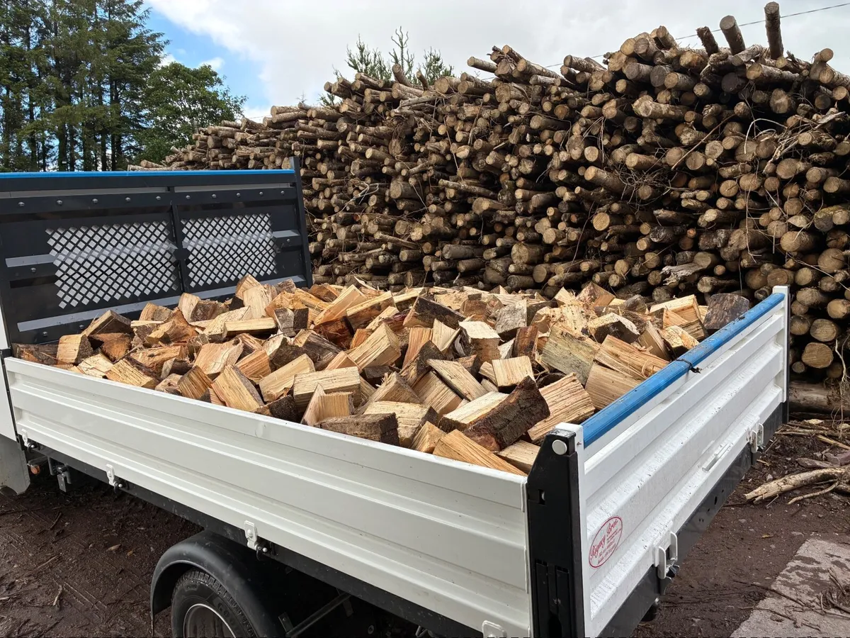 Firewood - Image 1