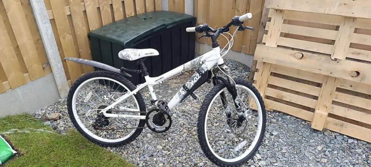 bicycle - Image 1